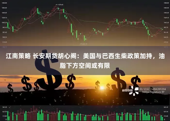 江南策略 长安期货胡心阁：美国与巴西生柴政策加持，油脂下方空间或有限