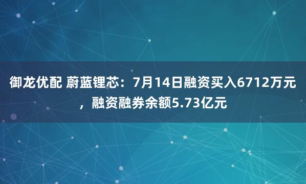 御龙优配 蔚蓝锂芯：7月14日融资买入6712万元，融资融券余额5.73亿元
